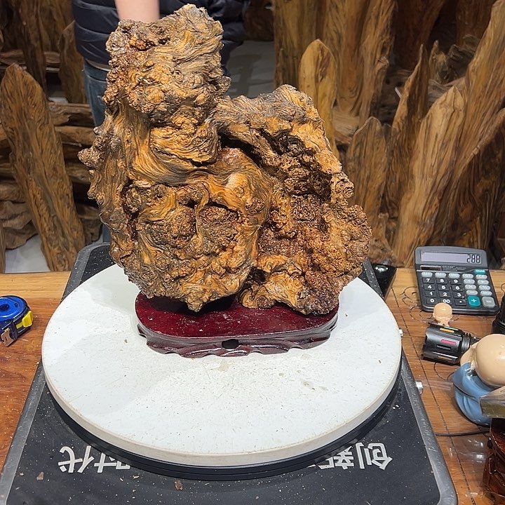 松木（琥珀木）于***?