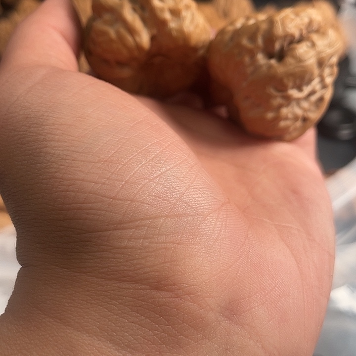 十***明吊坠文玩核桃11111111