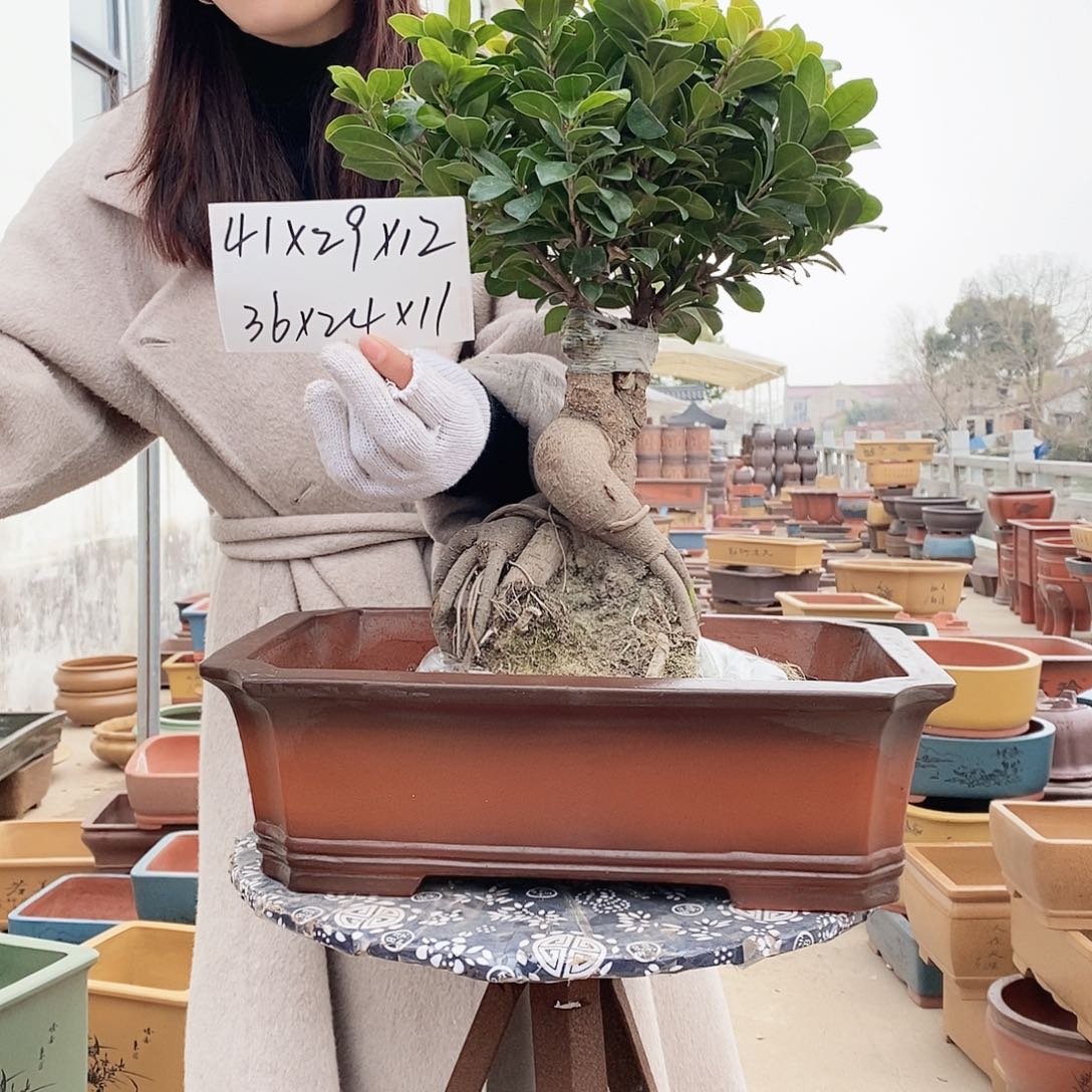 紫砂花盆紫砂花盆微瑕疵
