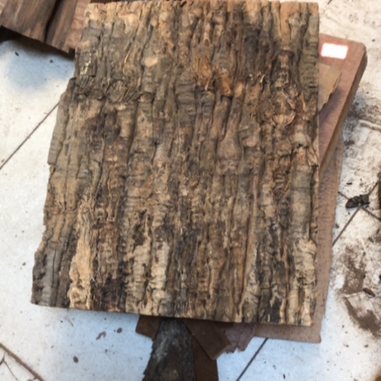 柒***月大果紫檀（缅甸花梨）