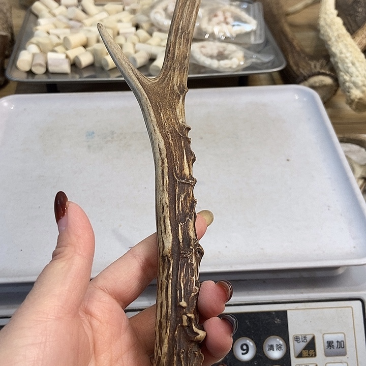 神***子中国大陆鹿角盘玩手把件