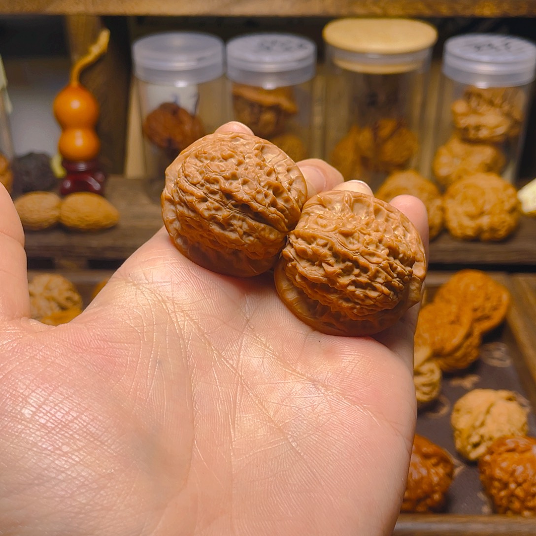 36尺原桩红皮血麒麟