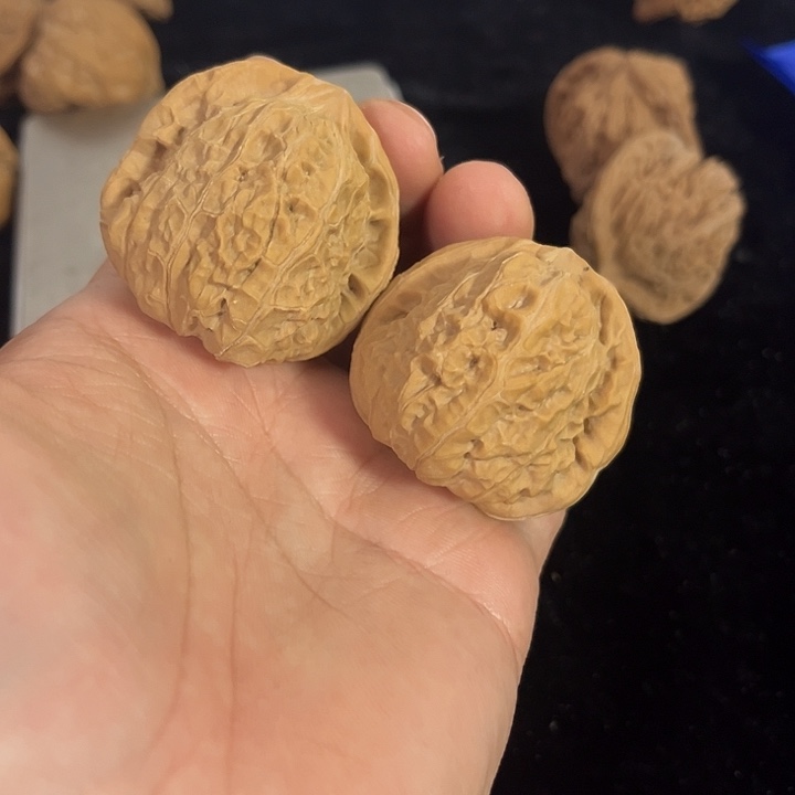 把件文玩核桃41左右练手南瓜墩，编号017