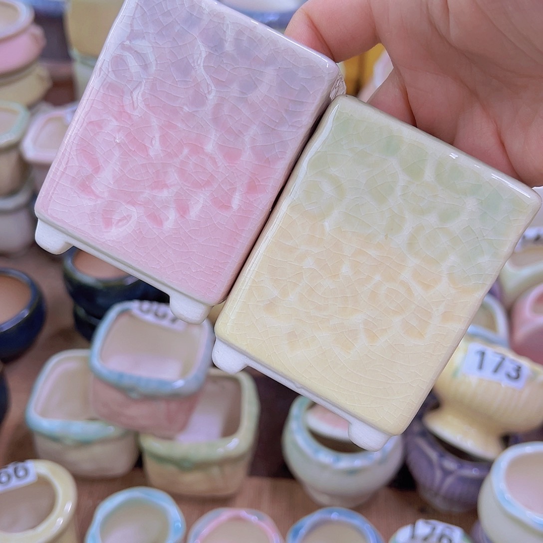 红陶陶瓷花盆当场满12包邮