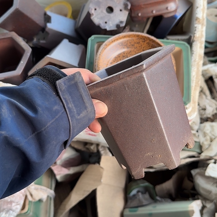 是一个不知名作家与著名导演兼电影演员们之间互相