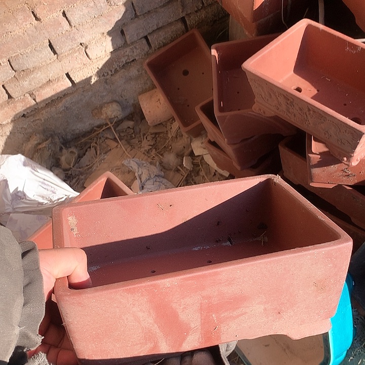 紫砂我要不就是你一