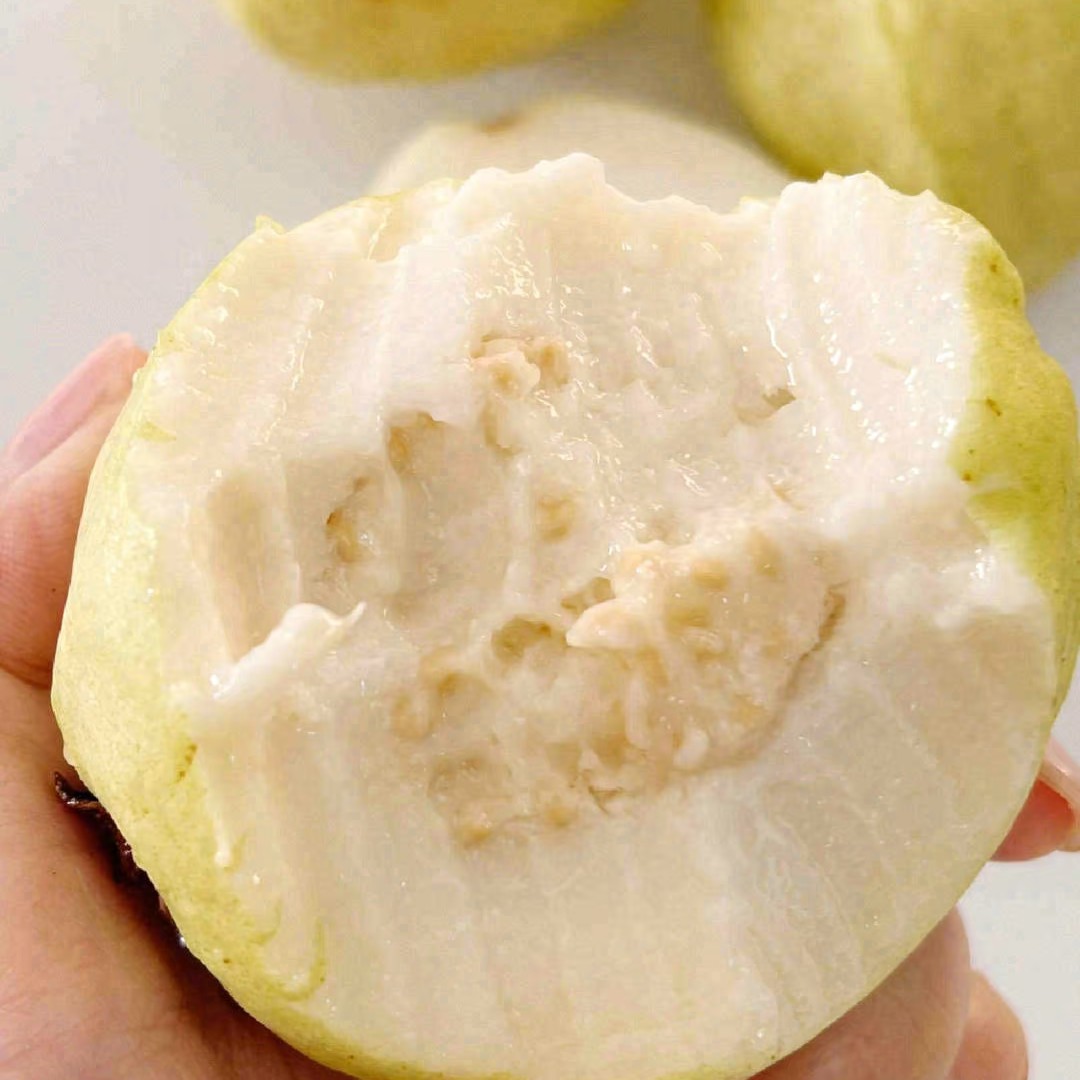 鲜果维奶油芭乐一一件