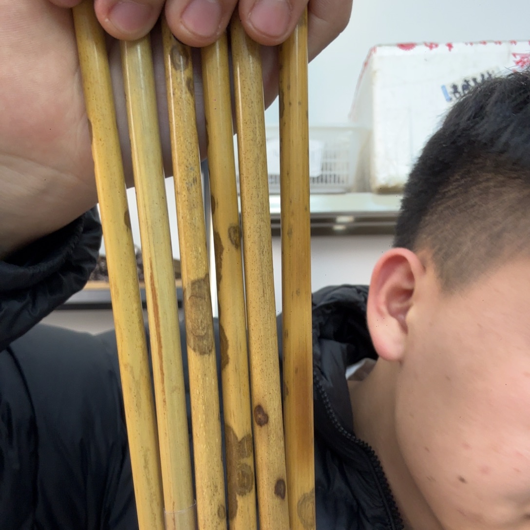 （鸡狼毫）毛笔三支