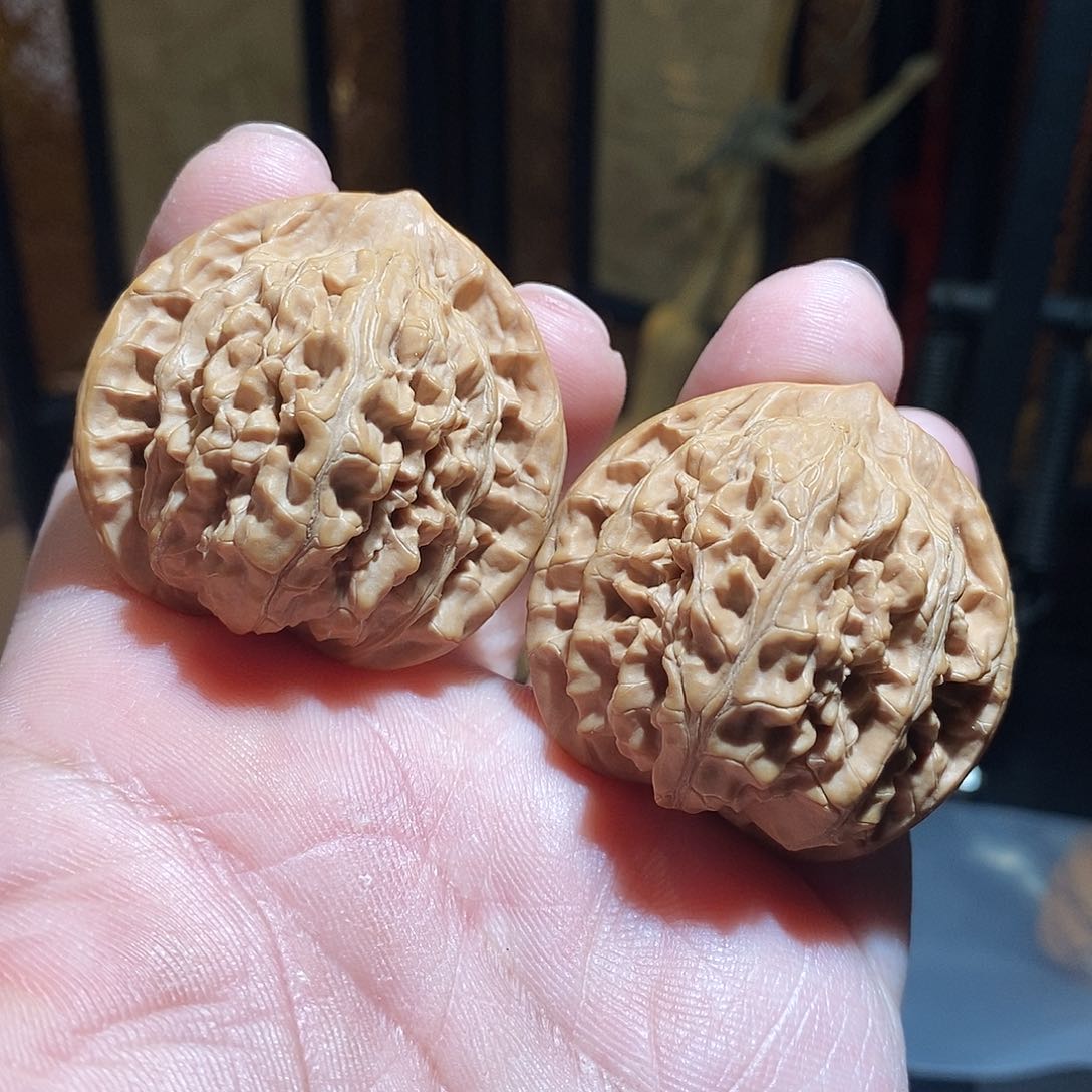 文玩核桃把件41武狮子