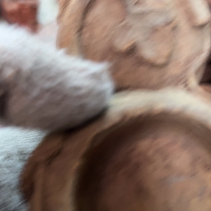 雕***力木................