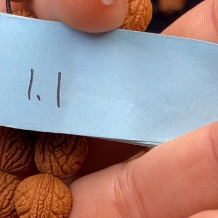 秦岭龙纹桃核21颗