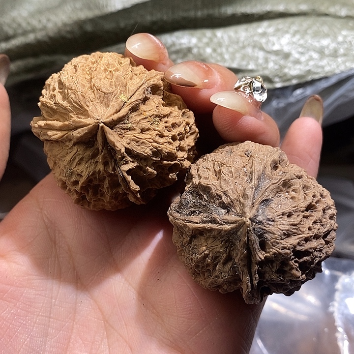 核桃云南野生铁核桃48号40mm