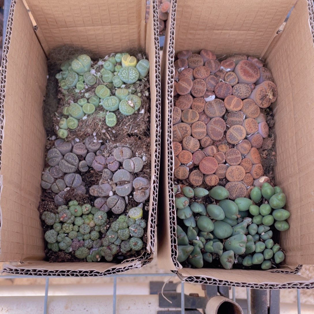 一箱拼箱888888888888