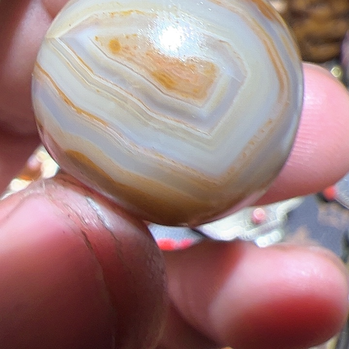 香榧木小*在家了一个