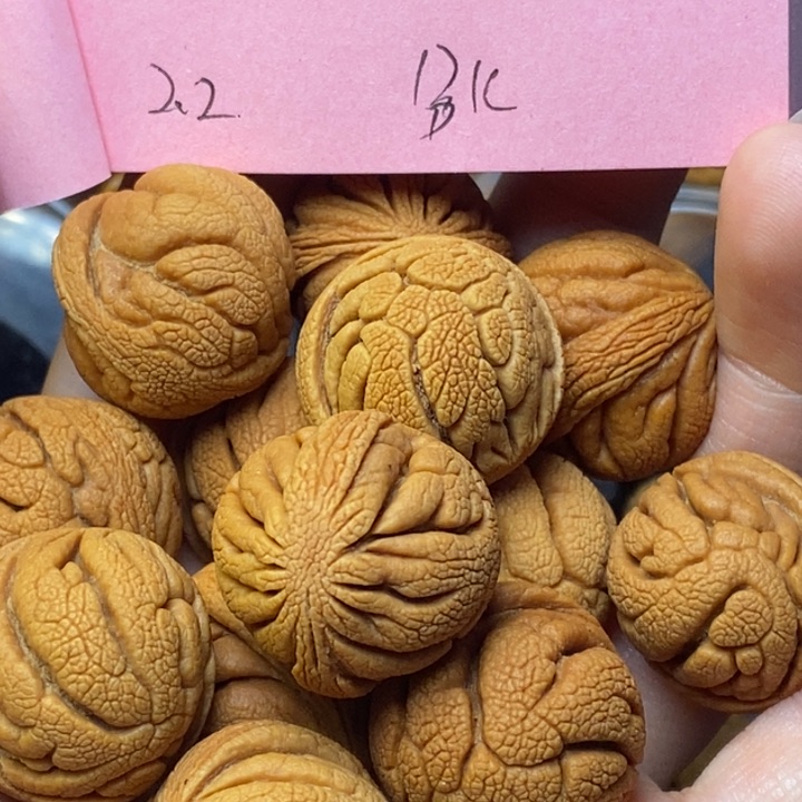 吊坠桃核秦岭龙纹桃核22尺寸