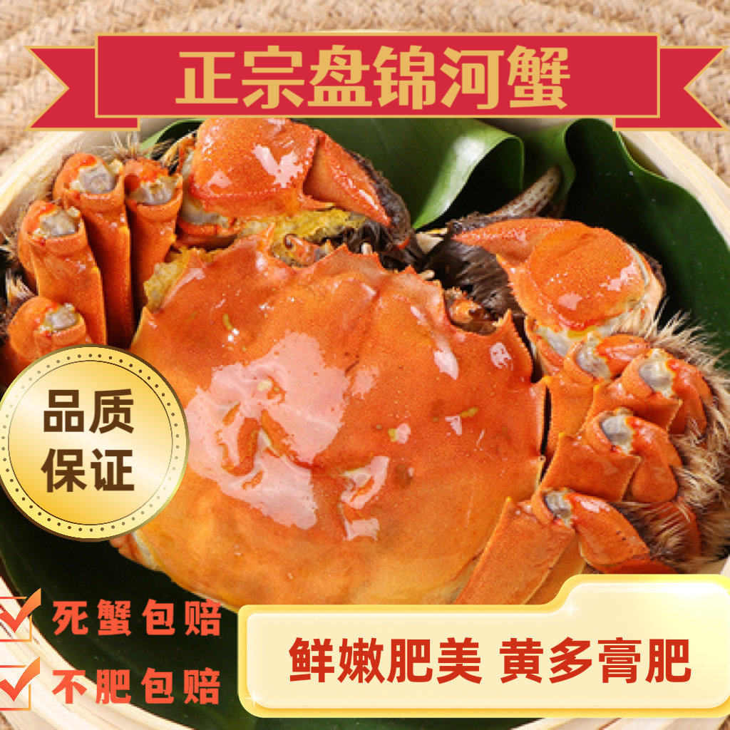 【辽宁省外拍】盘锦河蟹 全公蟹【2.7-3.0两】3斤 保鲜不保活 
