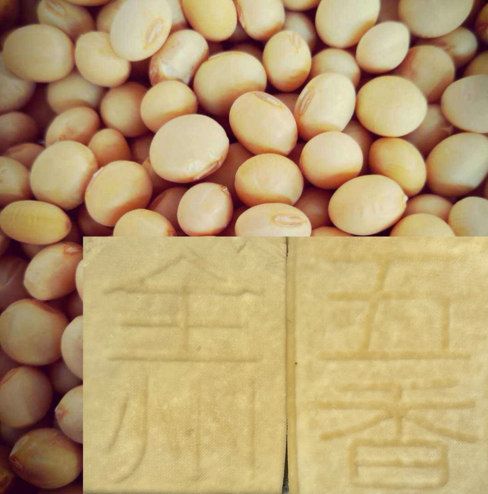 全州五香豆腐干3斤装全国发货泡沫箱加冰袋［全州飞玲特产］