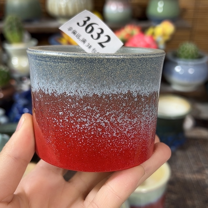 口6高5 满30元包邮