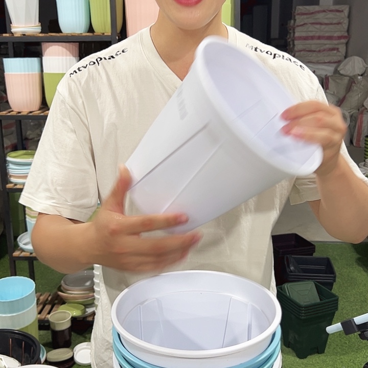 青山口21高21混色无托5只