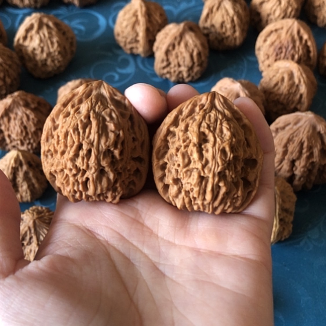 【闪购商品】文玩核桃把件大*一代将