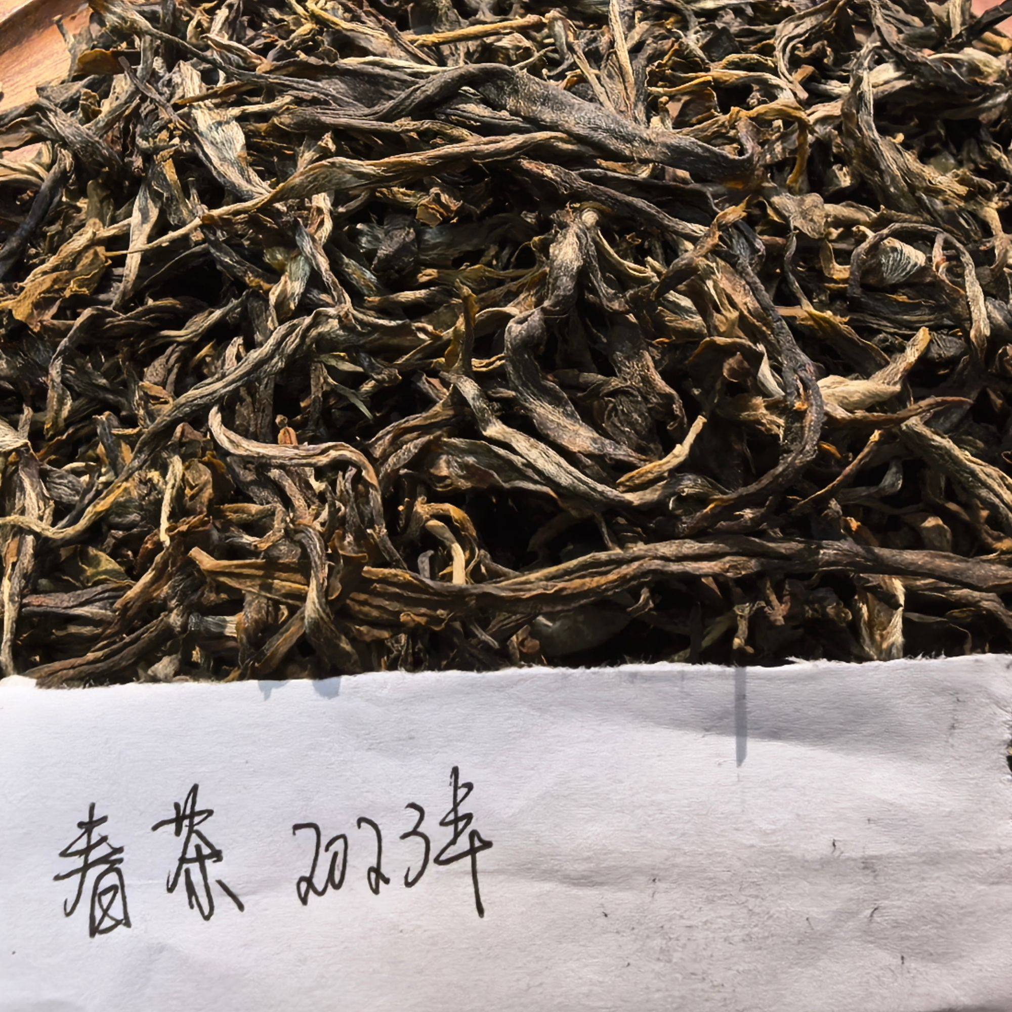 老班章153号 2023年春茶混采散料 100克