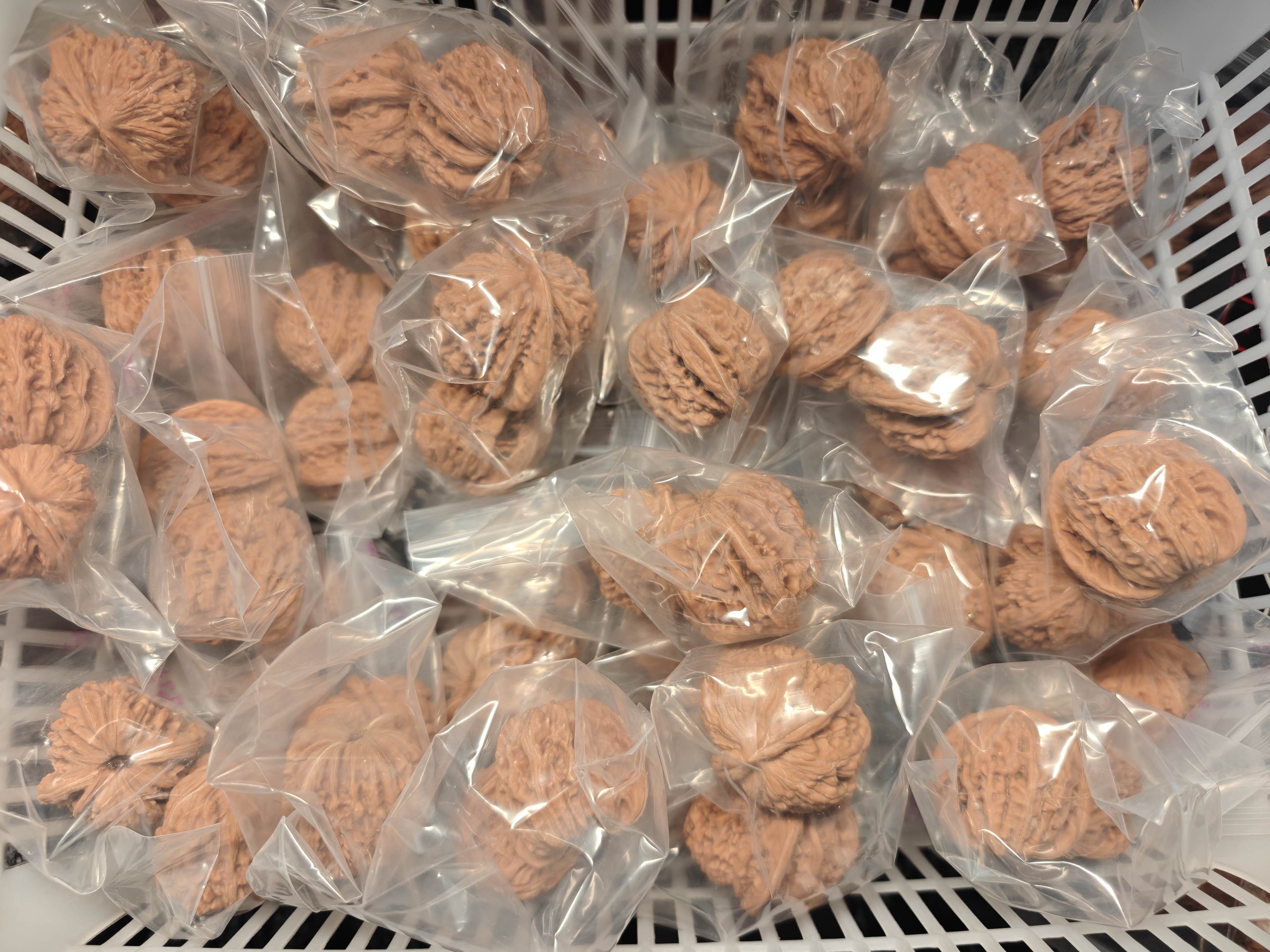 文玩核桃原桩无药四座楼狮子头 麒麟纹官帽文玩核桃手把件微瑕