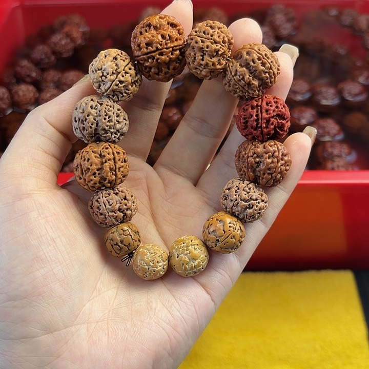 手串金刚菩提000573