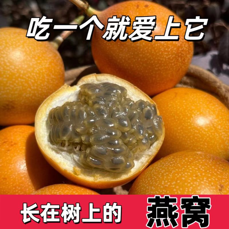 【顺丰包邮】云南特产新鲜采摘爱情果热情果2-3斤非黄金百香果