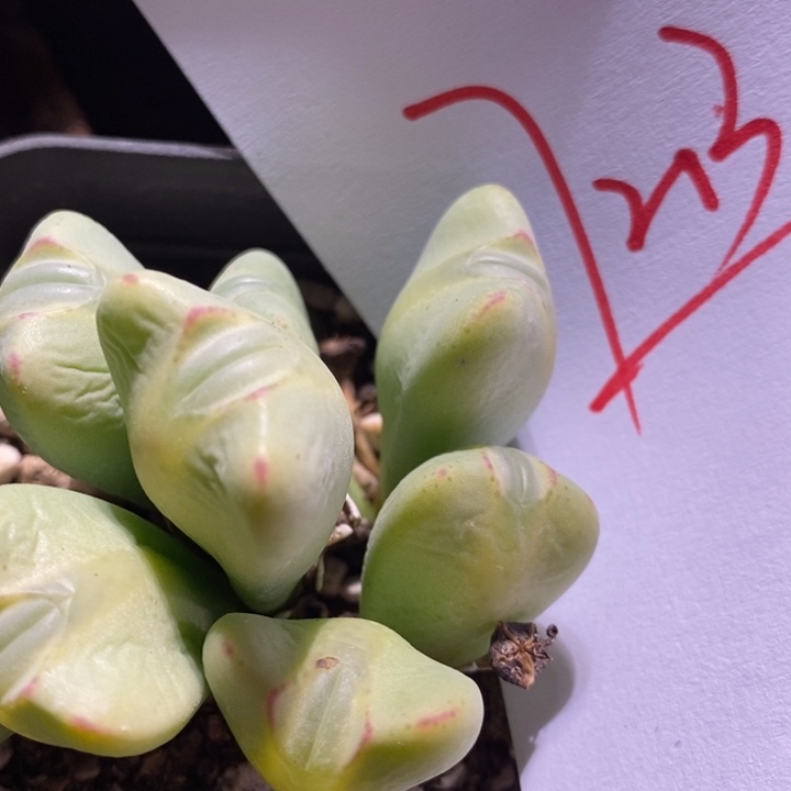 诗*17213一个一个一个