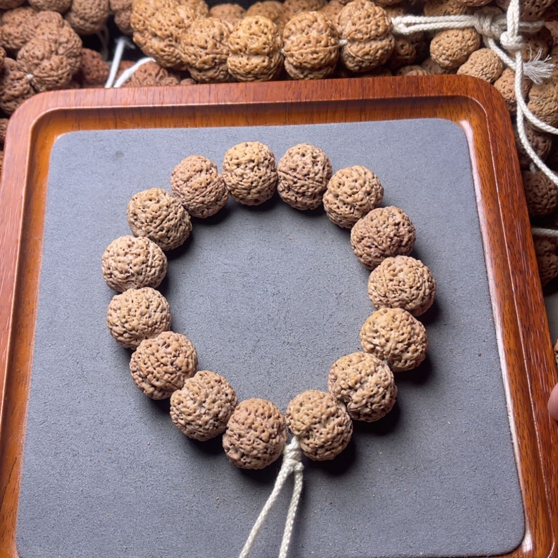 菩提籽类1号金刚菩提蜂王21+