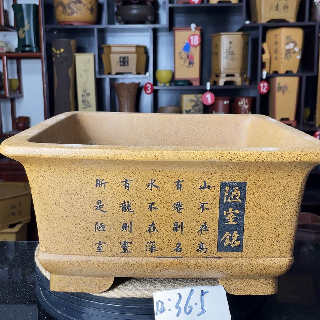 紫砂紫砂艺术紫砂工艺