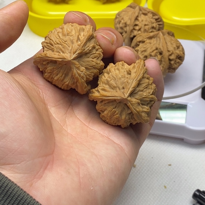 肉***芸无花朵核桃核桃核桃核桃