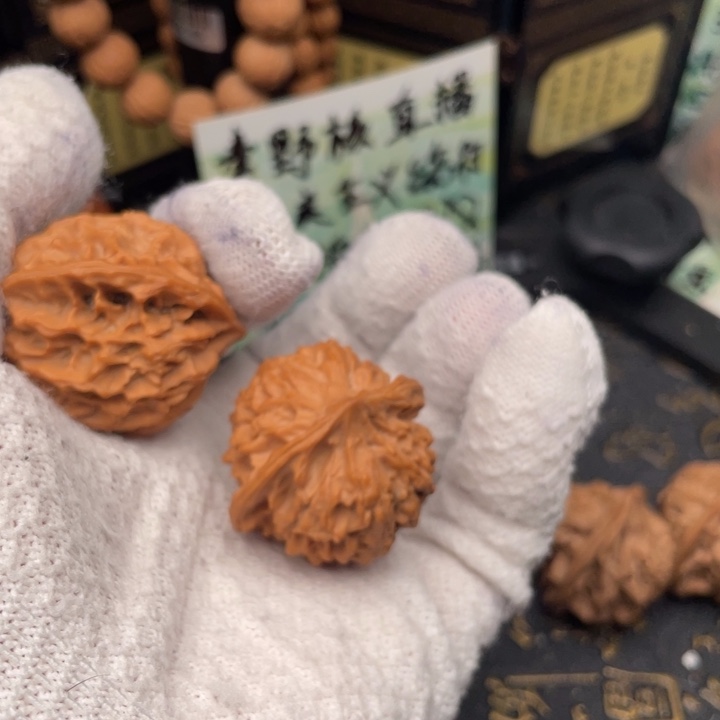 A***o核桃秦岭南侧和东北的山