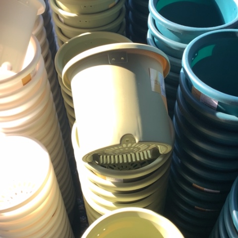 树脂20.3果绿无托3个