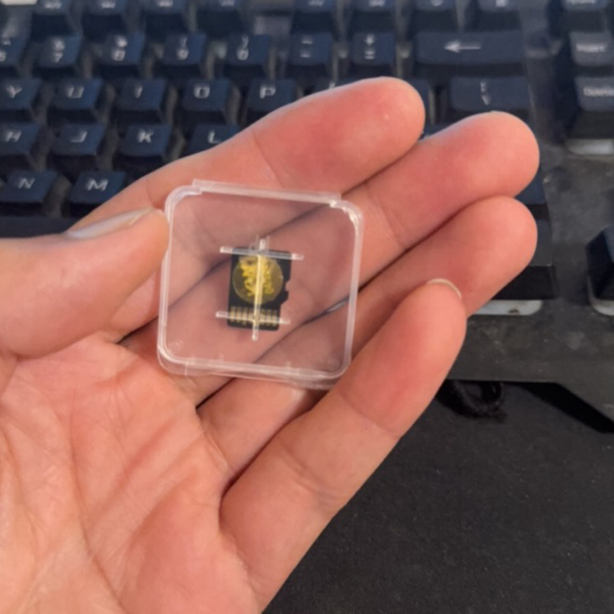 目录不卡顿的卡内存卡鸟叫歌曲（竹）