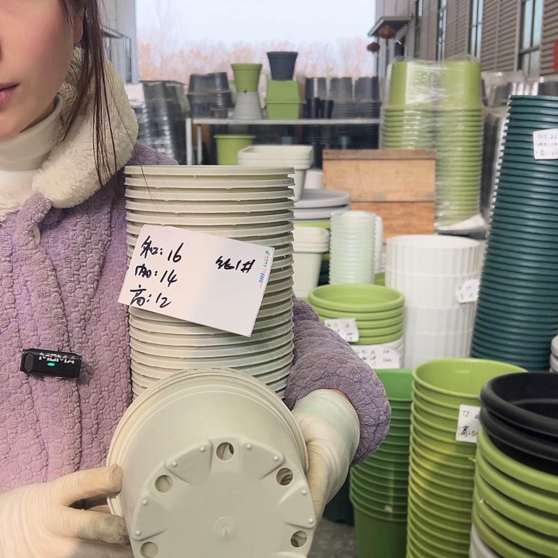 瑕疵矮胖1#米白20个无托