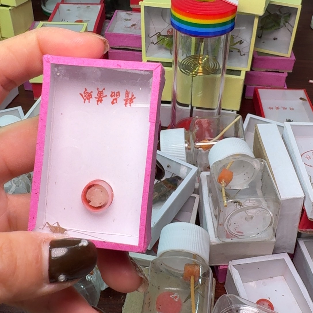 民***趣2条中黄龄。              