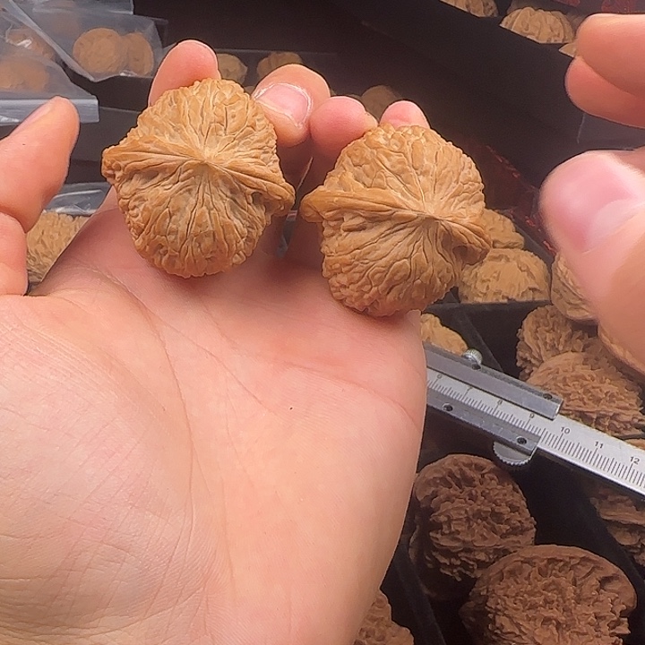 逃***，龙脊菩提吊坠啊啊啊啊啊啊啊啊啊泥鳅背23