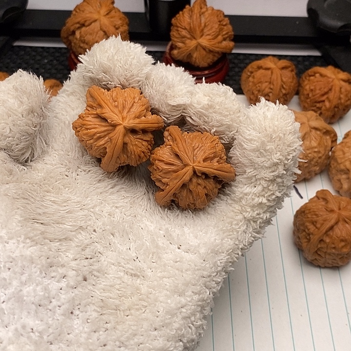 核桃手串/手链白狮子2