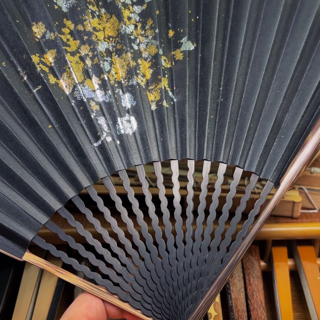 扇子爆炸金龙鳞棕竹