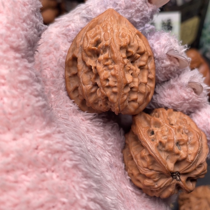 华***飞核桃36尺秦岭野生蛤蟆鸡