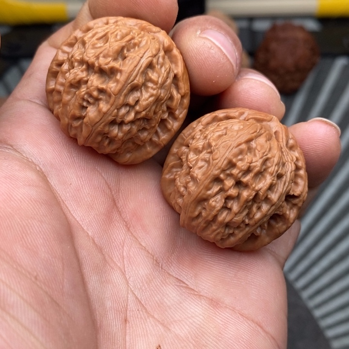 文玩核桃把件白狮子