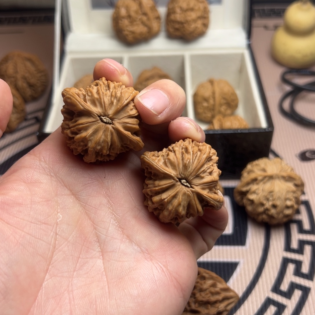 宏***.大叶紫檀（黑酸枝木类）磨盘