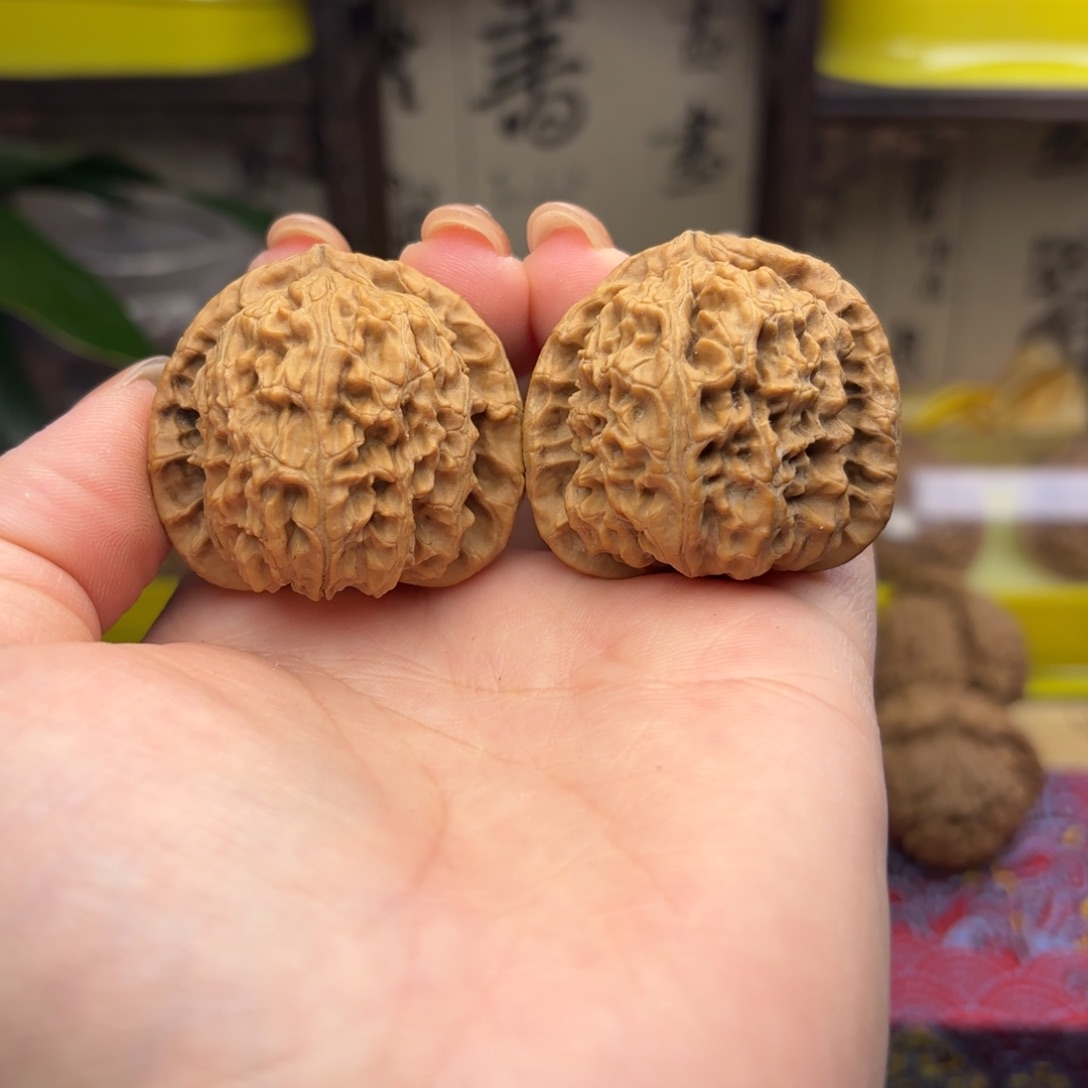 白狮子头三十八尺