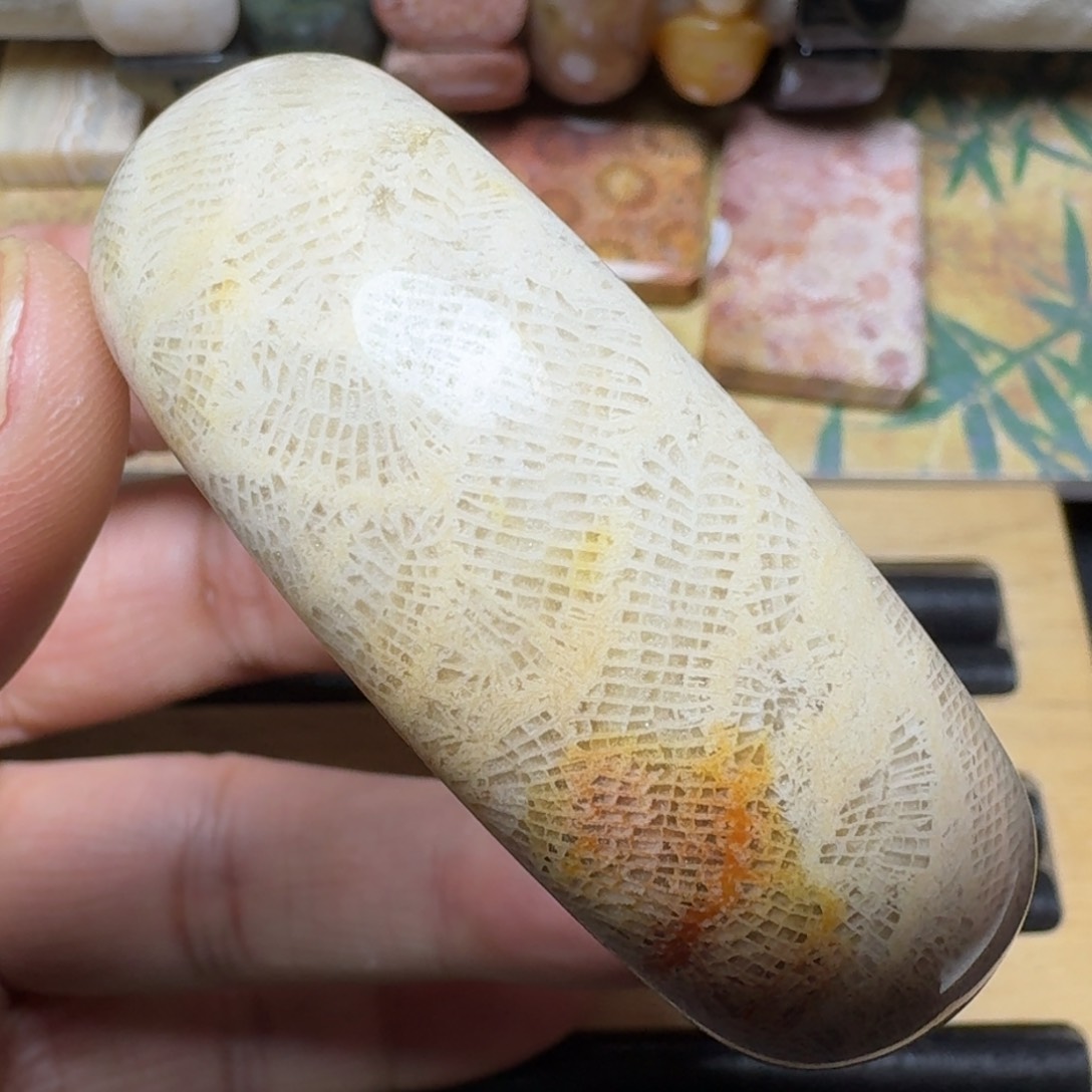 硅化玉天然色有机玉石保真色未镶嵌54.5圈口