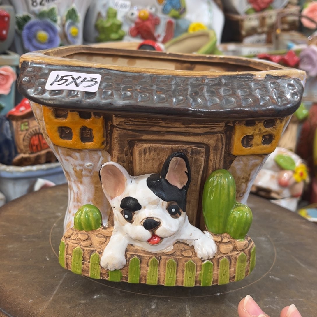 凑满15包邮发货发货