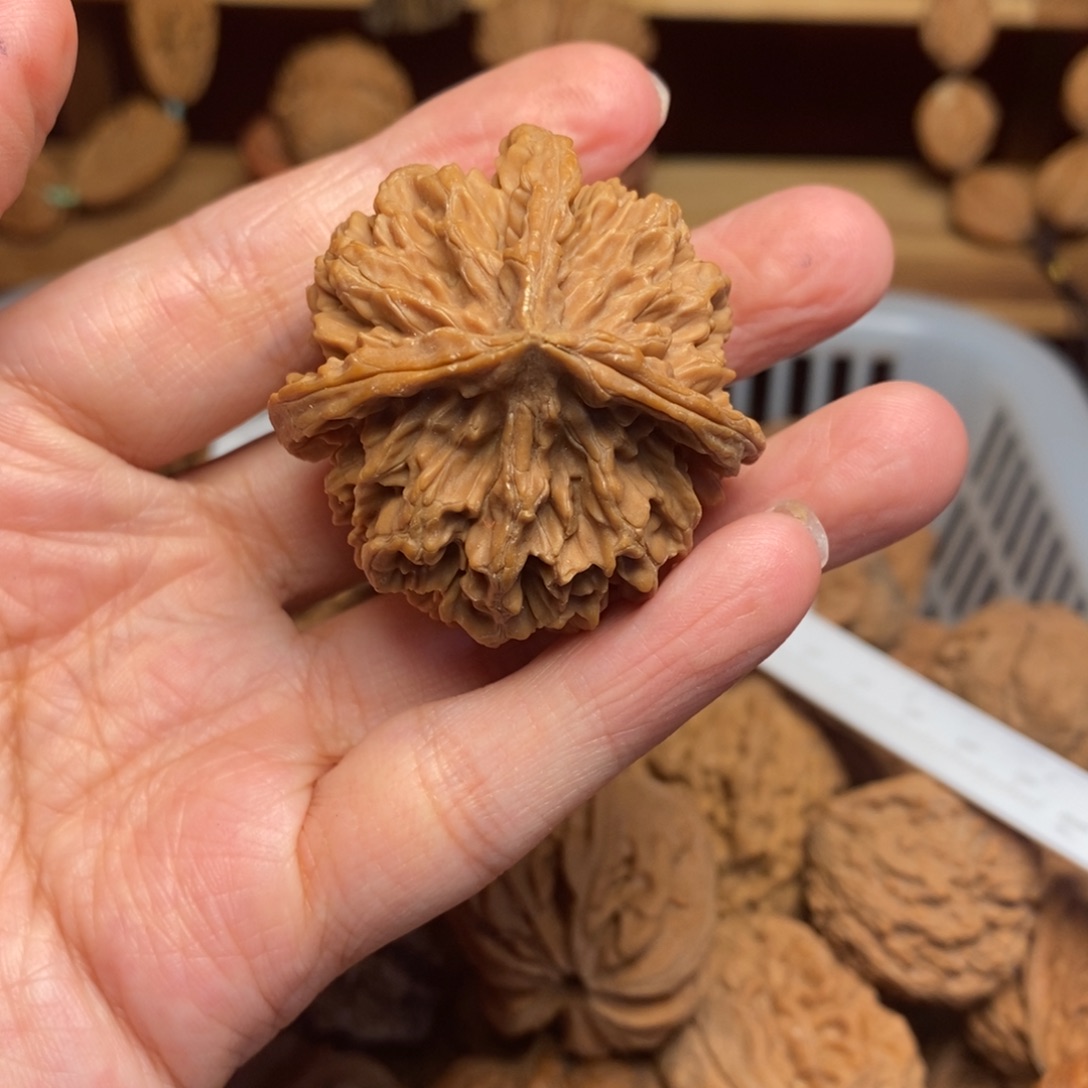 微***变把件文玩核桃文玩