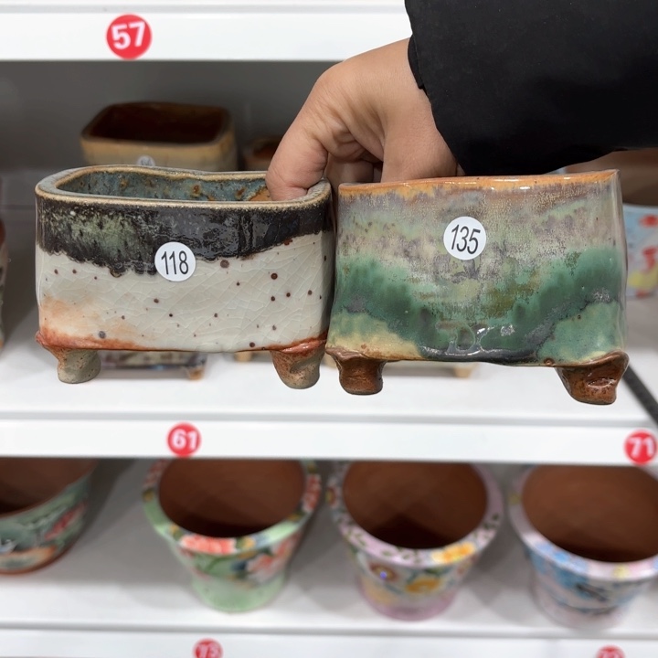 红陶可*内敛的人是不可能