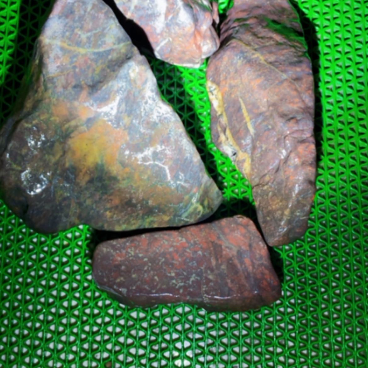 【闪购商品】新疆天宝石细胞舍利硅化铁泥石工艺品碧玺（处理）阿**叶