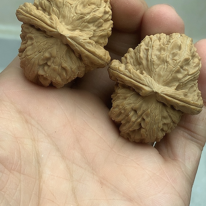文玩核桃吊坠41白狮子毕业对